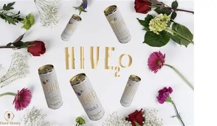Hive2o logo